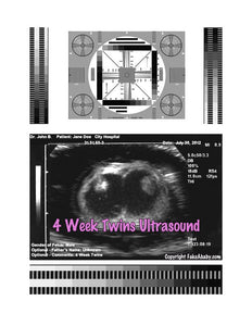 2D Fake Ultrasound 4 Week Twins