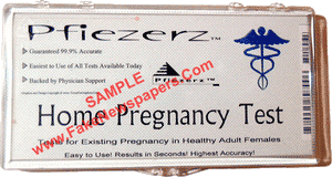 Fake Pregnancy test