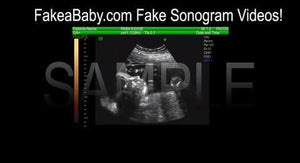 2D Fake ultrasound