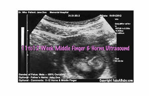 Fake Ultrasound 11 to 12 Weeks with Middle Finger & Horns