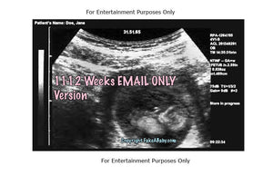 11-12 weeks Fake ultrasound in 2D
