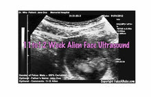 Fake Ultrasound 11 to 12 Week Alien