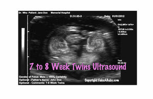 Fake Ultrasound 7 to 8 Week Twins