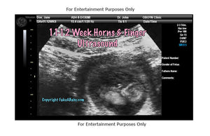 11-12 Week Horns and Middle Finger Ultrasound Fake Sonogram