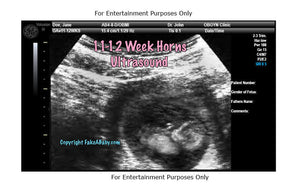 11-12 Week With Horns Fake Sonogram