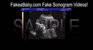Fake Sonogram Video Sample