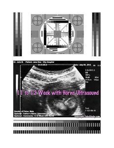 2D Fake Ultrasound 11 to 12 Weeks with Horns