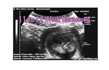Fake Ultrasound 11 to 12 Weeks