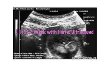 11 to 12 week with horns ultrasound