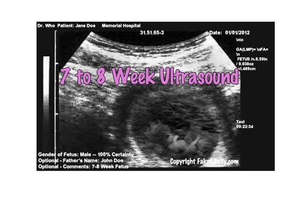 Fake Ultrasound 7 to 8 Weeks