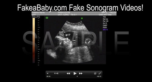 Fake Sonogram Video Sample