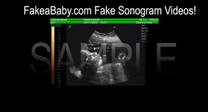 Fake Sonogram Video Sample